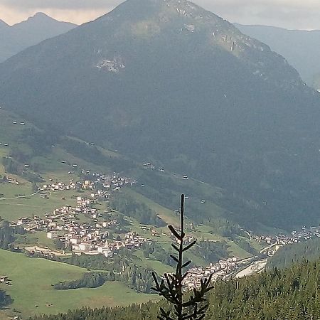 B&B Il Tulipano Сан-П'єтро-ді-Кадоре Екстер'єр фото
