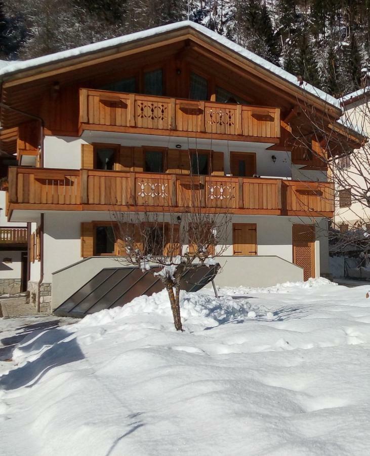 B&B Il Tulipano Сан-П'єтро-ді-Кадоре Екстер'єр фото