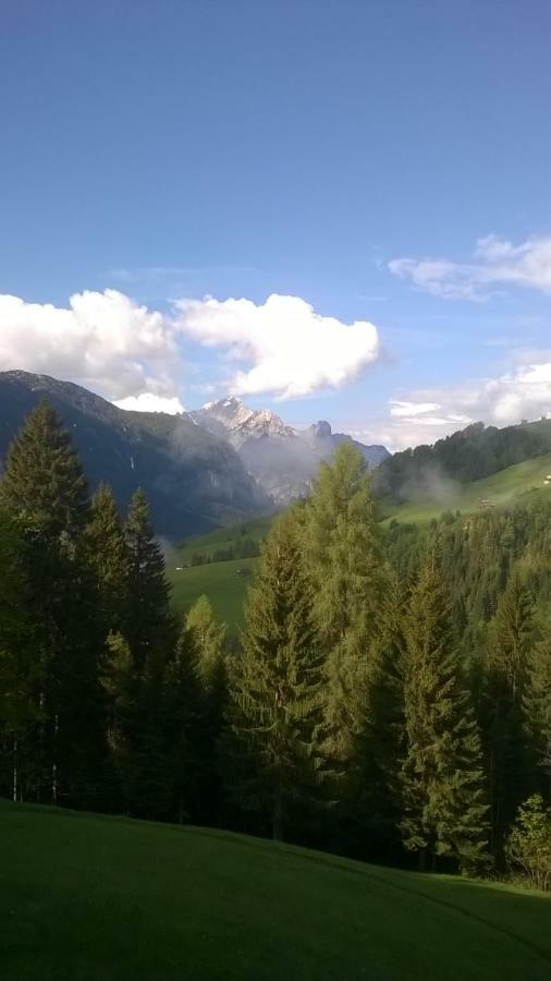 B&B Il Tulipano Сан-П'єтро-ді-Кадоре Екстер'єр фото