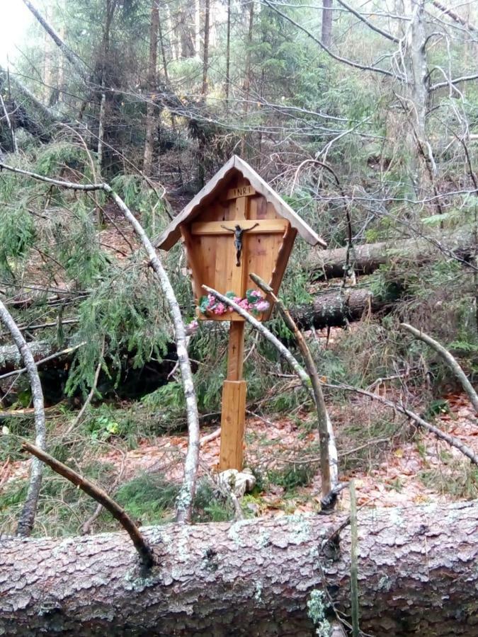 B&B Il Tulipano Сан-П'єтро-ді-Кадоре Екстер'єр фото